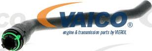 VAICO V40-1352 - Radiator Hose www.parts5.com