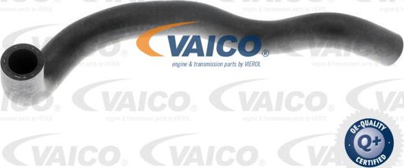 VAICO V10-4653 - Radiator Hose www.parts5.com