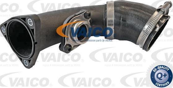 VAICO V10-6737 - Charger Intake Air Hose www.parts5.com