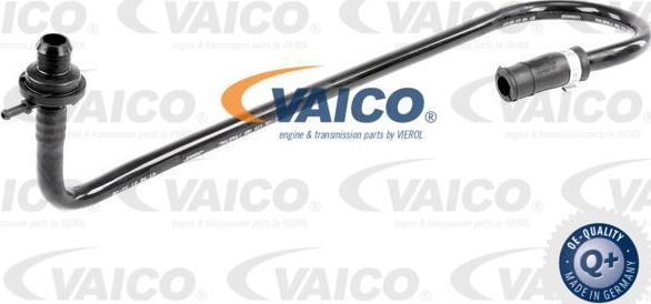 VAICO V10-3648 - Vacuum Hose, braking system www.parts5.com