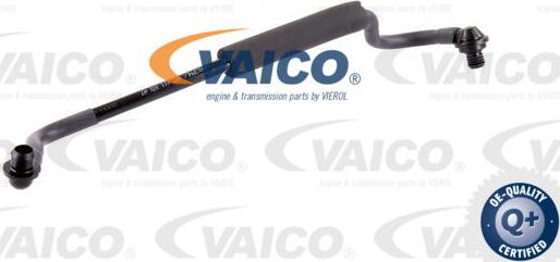 VAICO V10-3647 - Vacuum Hose, braking system www.parts5.com