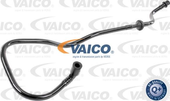 VAICO V10-3664 - Vacuum Hose, braking system www.parts5.com