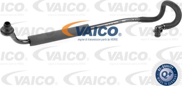 VAICO V10-3667 - Vacuum Hose, braking system www.parts5.com