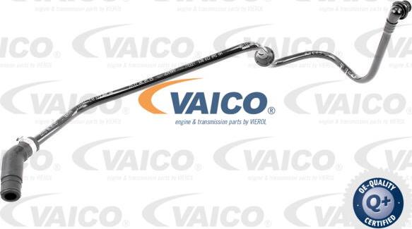 VAICO V10-3606 - Vacuum Hose, braking system www.parts5.com