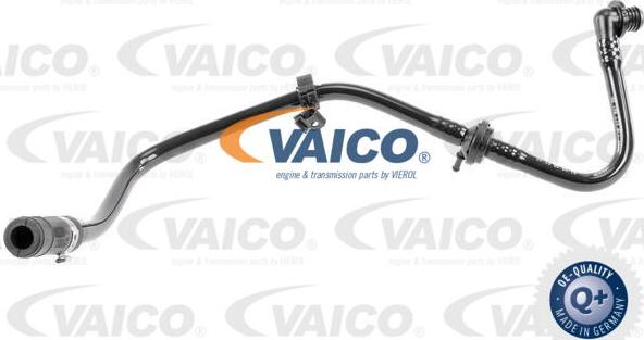 VAICO V10-3607 - Vacuum Hose, braking system www.parts5.com
