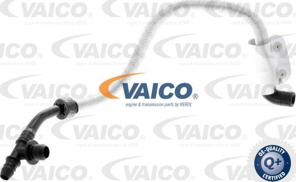 VAICO V10-3616 - Vacuum Hose, braking system www.parts5.com