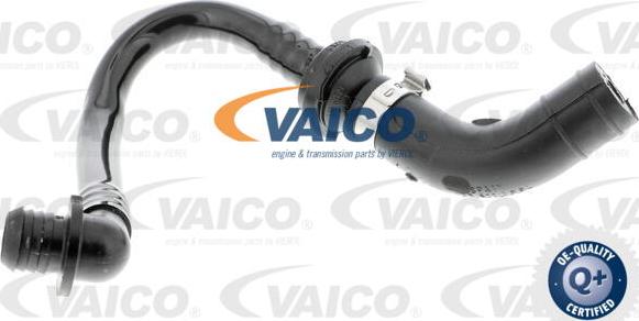 VAICO V10-3612 - Vacuum Hose, braking system www.parts5.com