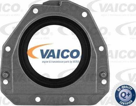 VAICO V10-3685 - Уплотняющее кольцо, коленчатый вал www.parts5.com