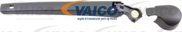 VAICO V10-2451 - Wiper Arm, window cleaning www.parts5.com