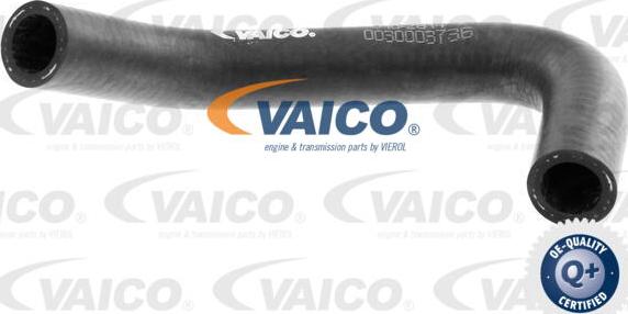 VAICO V10-2814 - Radiator Hose www.parts5.com