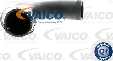 VAICO V10-2830 - Charger Intake Air Hose www.parts5.com