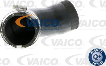 VAICO V10-2831 - Charger Intake Air Hose www.parts5.com