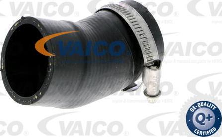 VAICO V10-2828 - Charger Intake Air Hose www.parts5.com