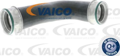 VAICO V10-2871 - Charger Intake Air Hose www.parts5.com