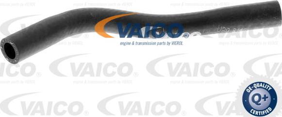 VAICO V30-3146 - Radiator Hose www.parts5.com
