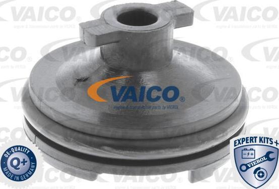 VAICO V25-1116 - Tapón roscado, colector de aceite www.parts5.com