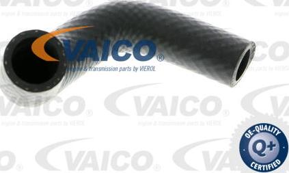 VAICO V20-1348 - Radiator Hose www.parts5.com
